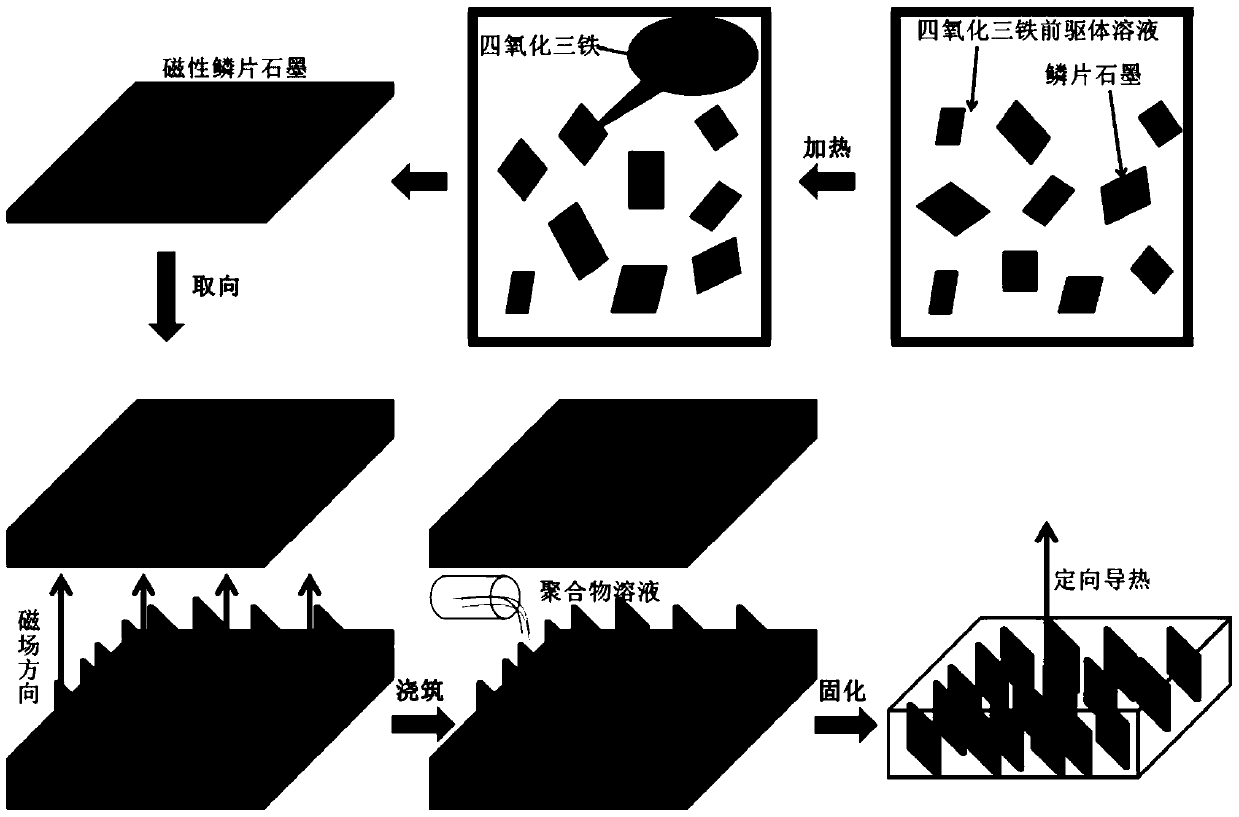 Oriented high thermal conductivity carbon/polymer composite material and preparation method