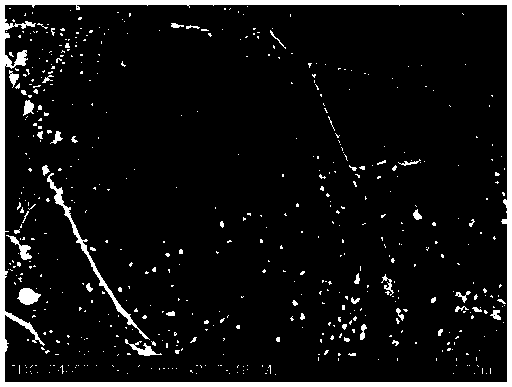 Oriented high thermal conductivity carbon/polymer composite material and preparation method