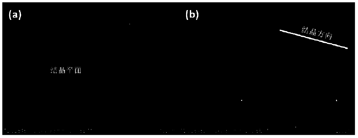 Oriented high thermal conductivity carbon/polymer composite material and preparation method