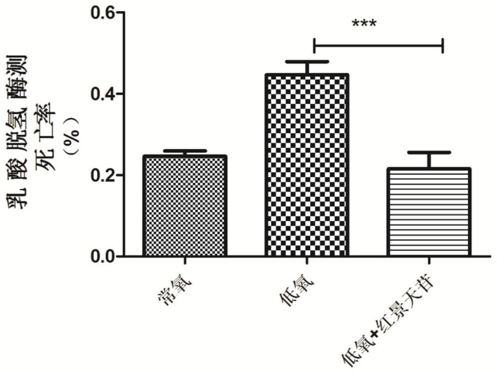Application of salidroside in preparation of medicine for preventing and treating cardiovascular diseases caused by coronary artery endothelial cell injury