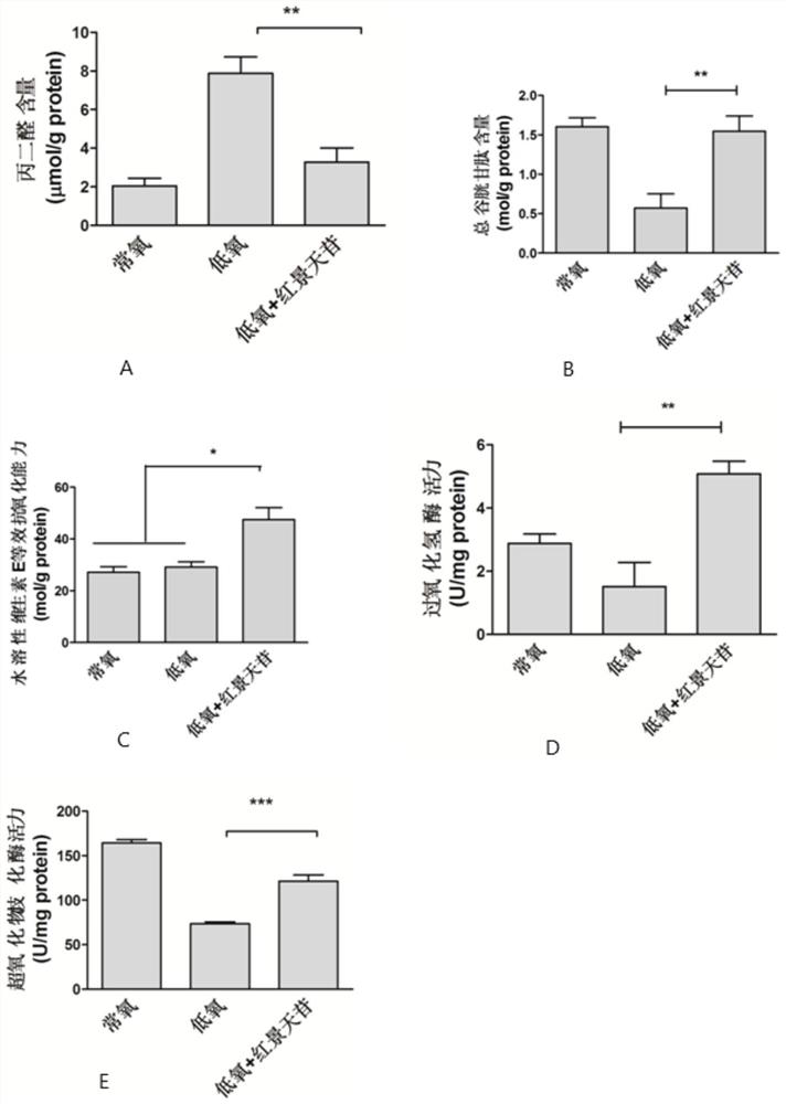 Application of salidroside in preparation of medicine for preventing and treating cardiovascular diseases caused by coronary artery endothelial cell injury