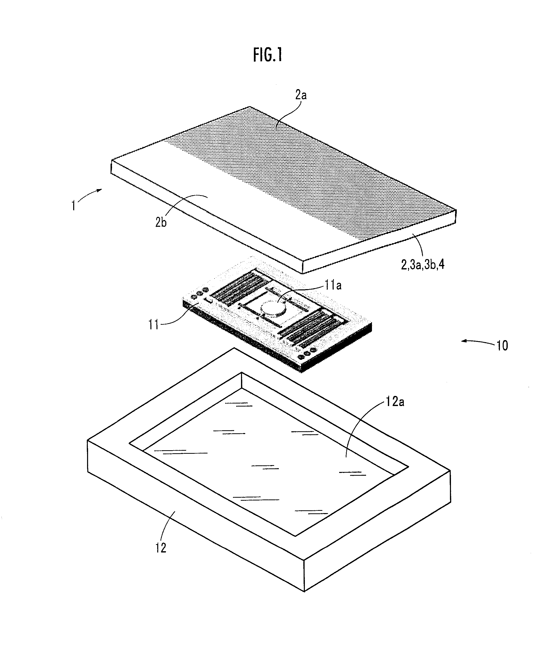 Light scattering element, optical scanning device, and image displaying device