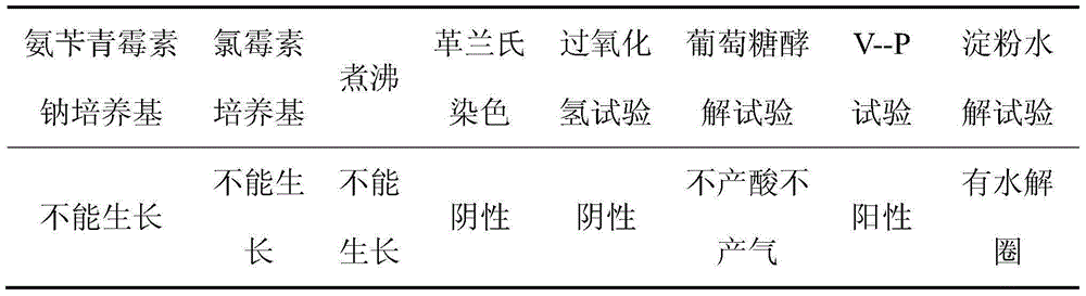 A strain of non-spore brevibacterium and its application