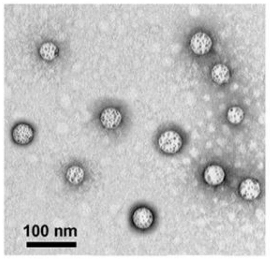 a w  <sub>18</sub> o  <sub>49</sub> -Tirapazamine composite nanoparticles and their preparation method and application