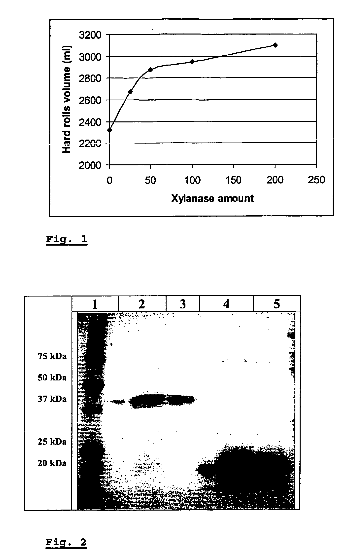 Use of family 8 enzymes with xylanolytic activity in baking