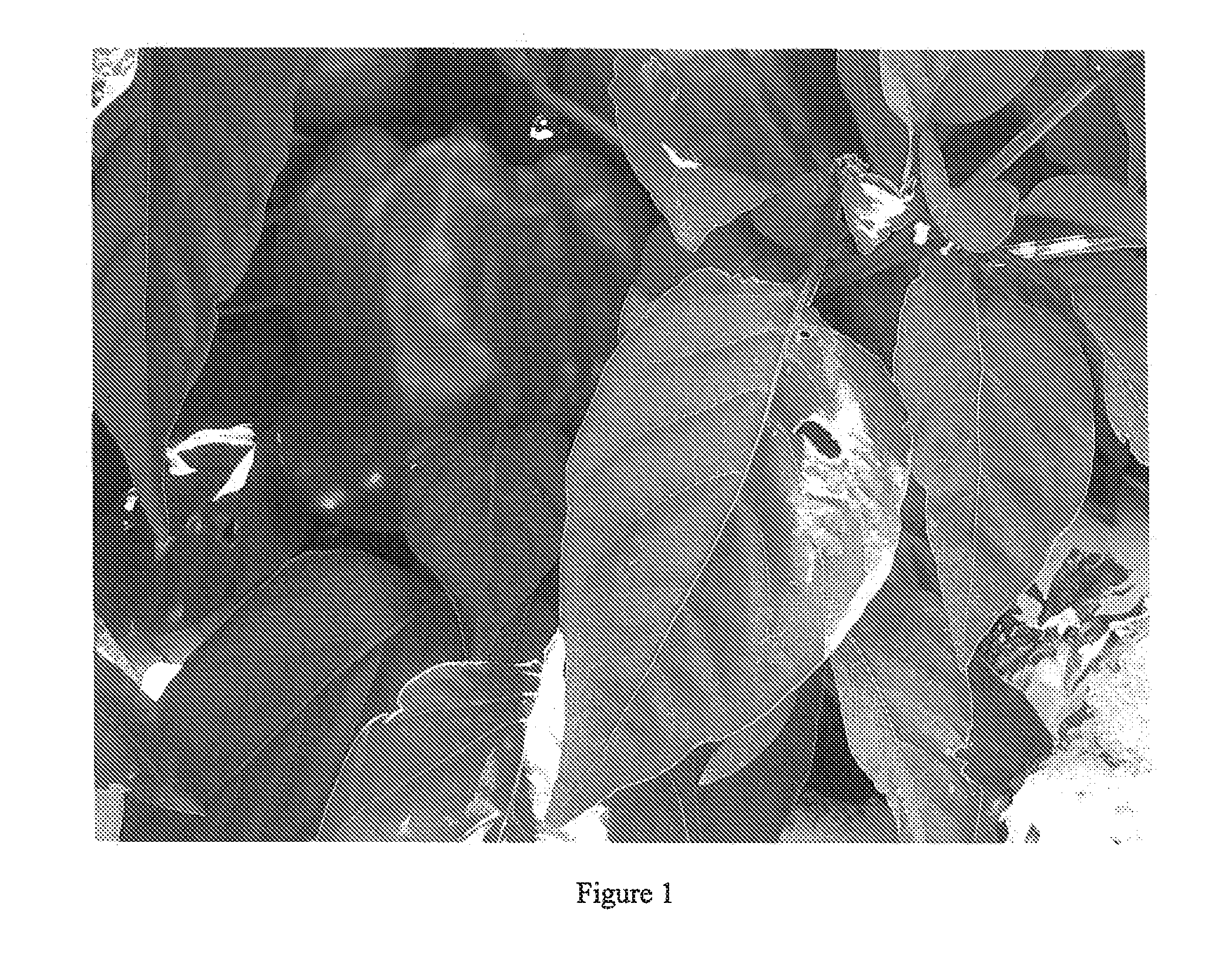 Compositions and Methods for the Control of Nematodes and Soil Borne Diseases