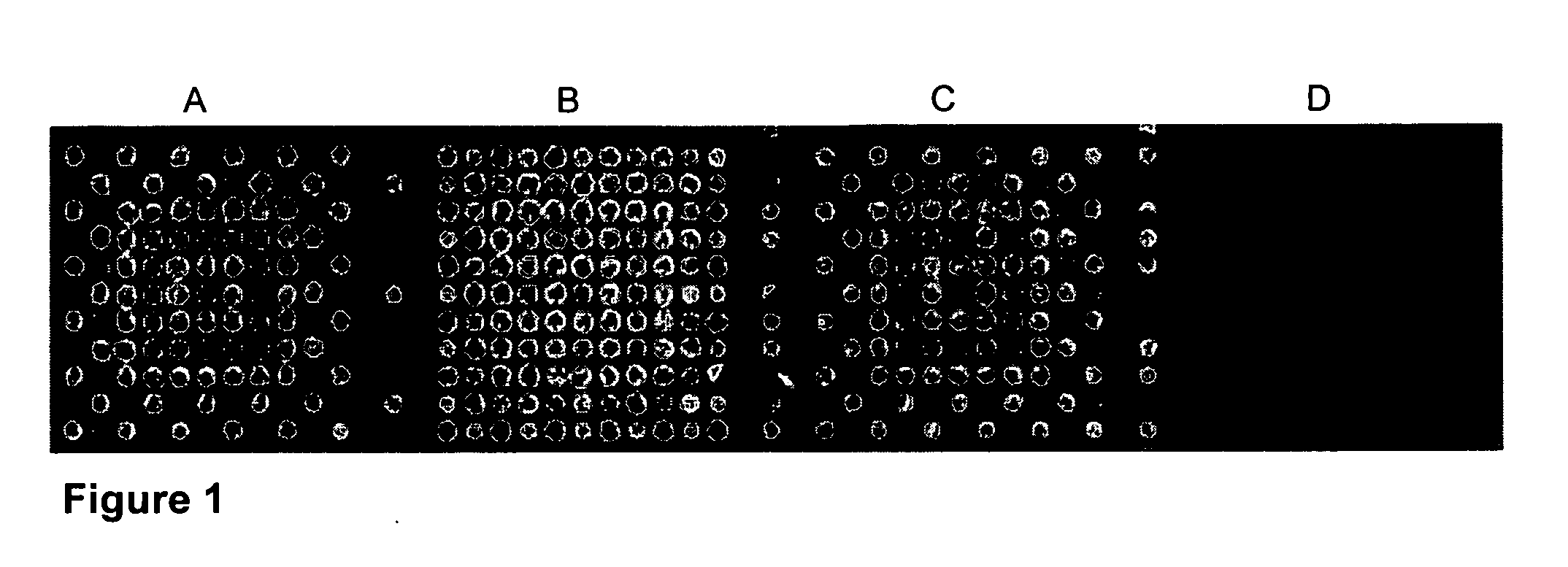 Microarray having a base cleavable succinate linker