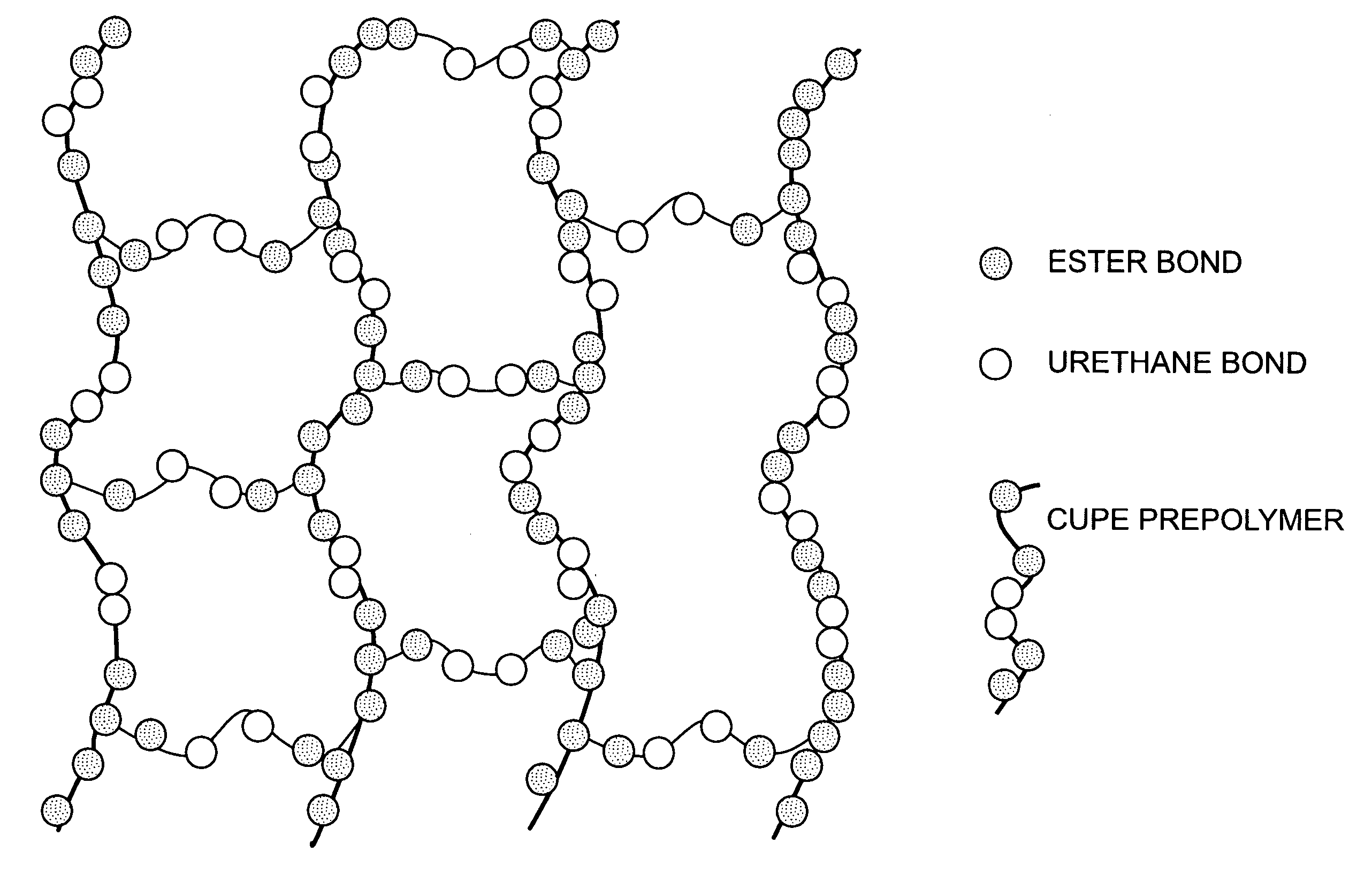 Bio-polymer and scaffold-sheet method for tissue engineering
