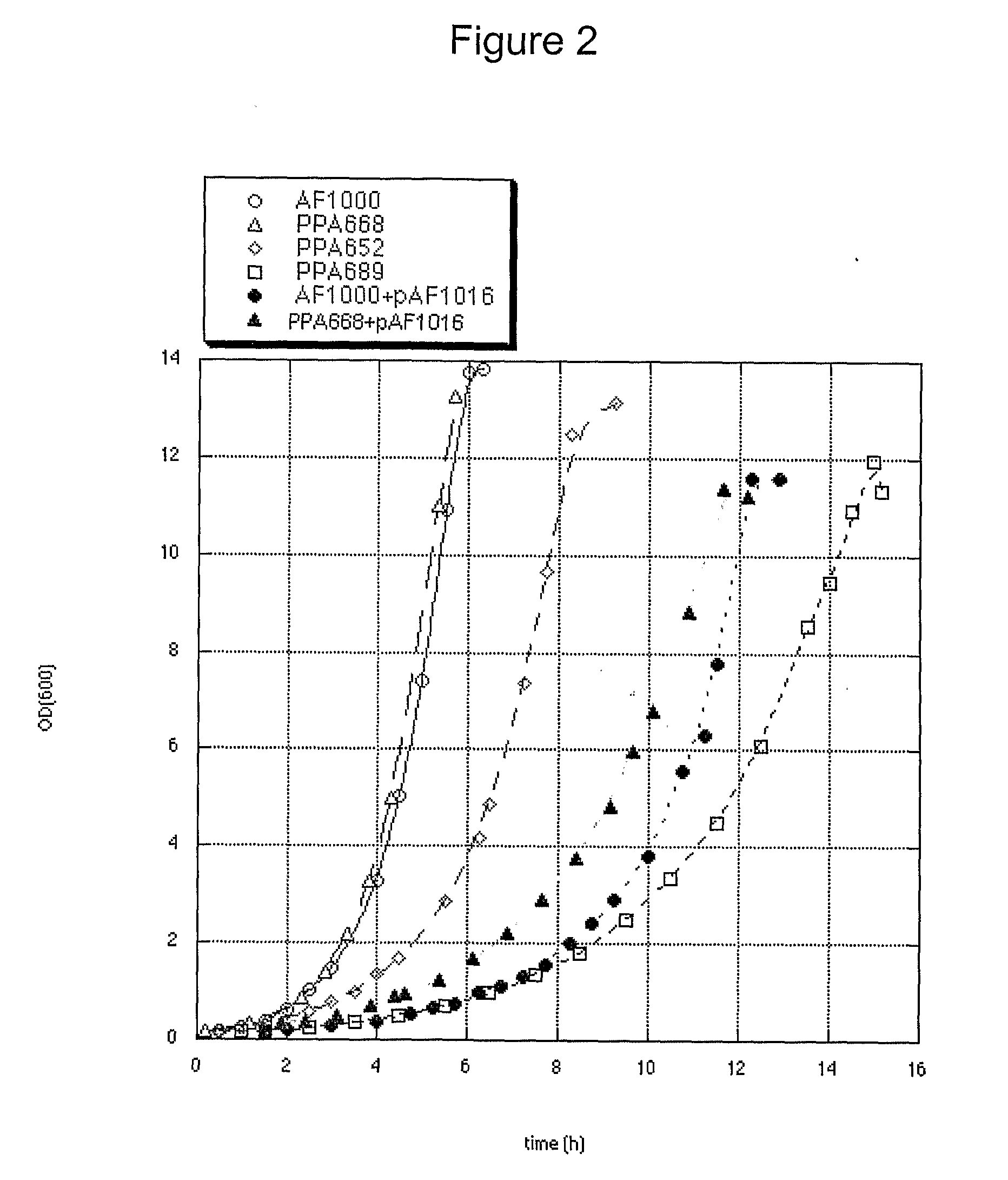 Method for Multiparallel Construction of Host/Vector-Systems for Expression of Proteins