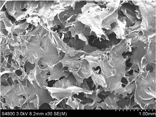 A kind of preparation method of chitosan-based biomimetic membrane material with asymmetric structure