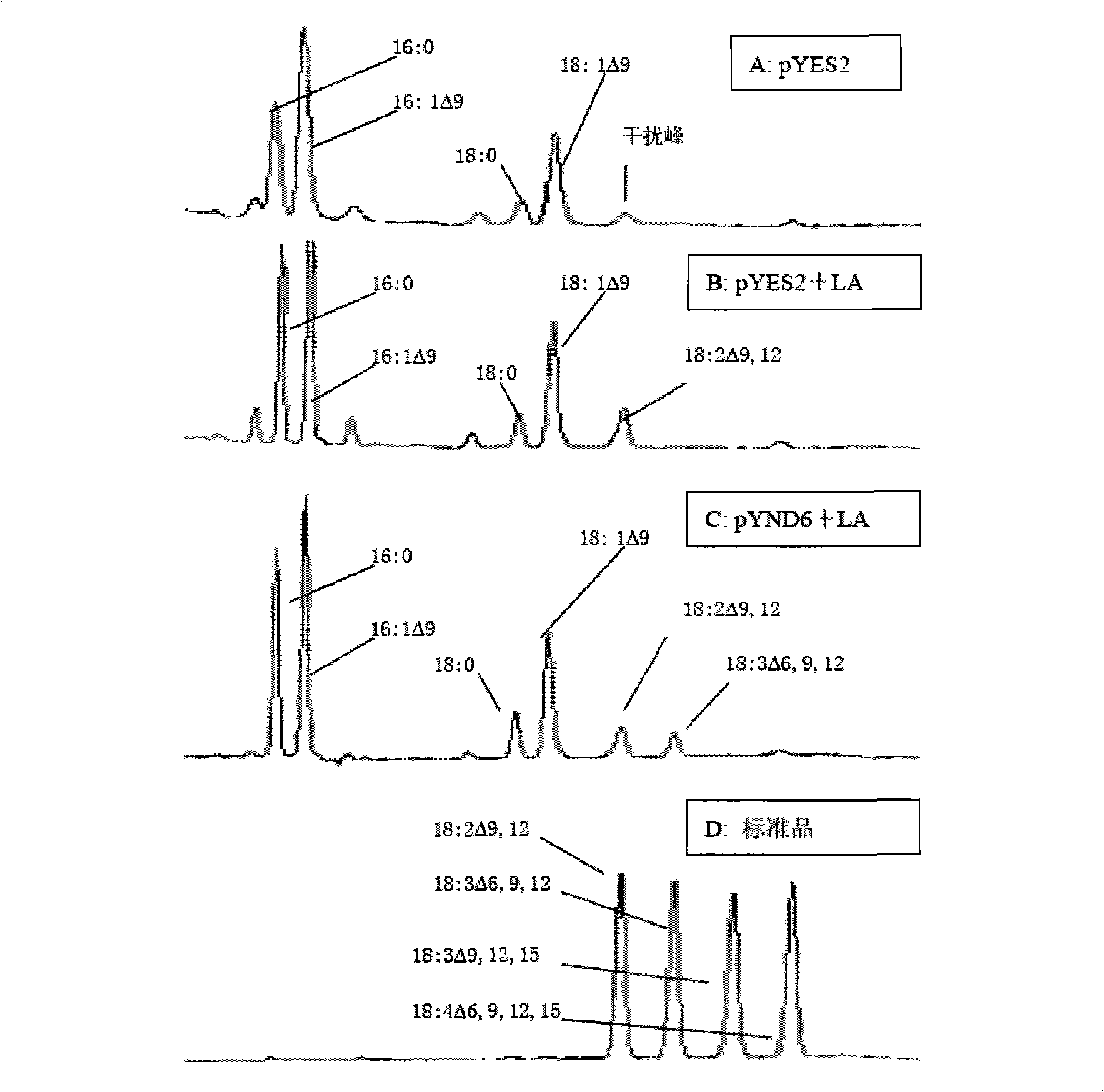 Delta6 fatty acid desaturated enzyme of marine microalgae and applications thereof