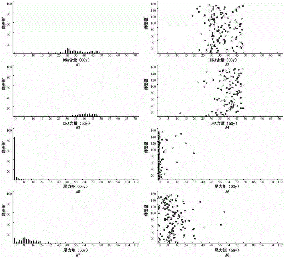 Detection method of radiosensitivity of solid tumor cells