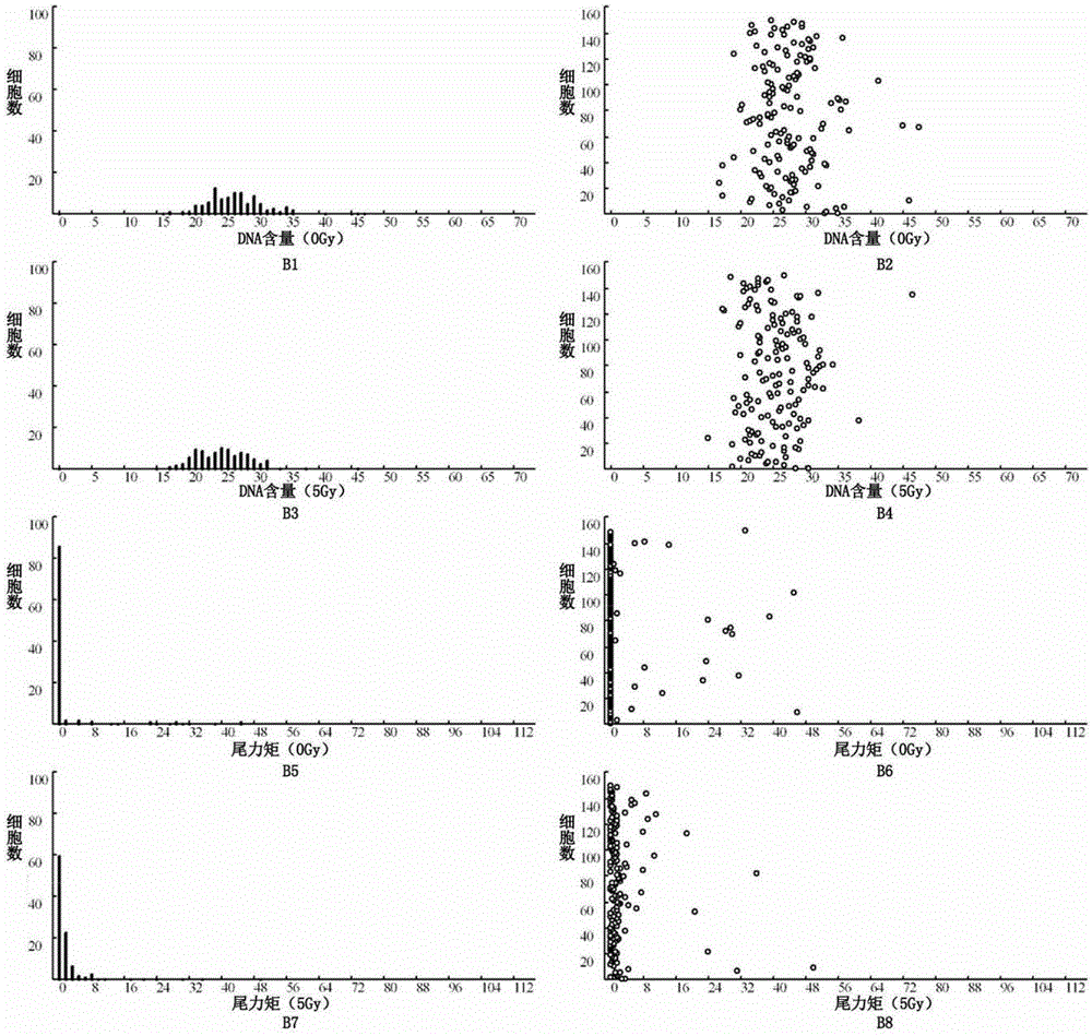 Detection method of radiosensitivity of solid tumor cells