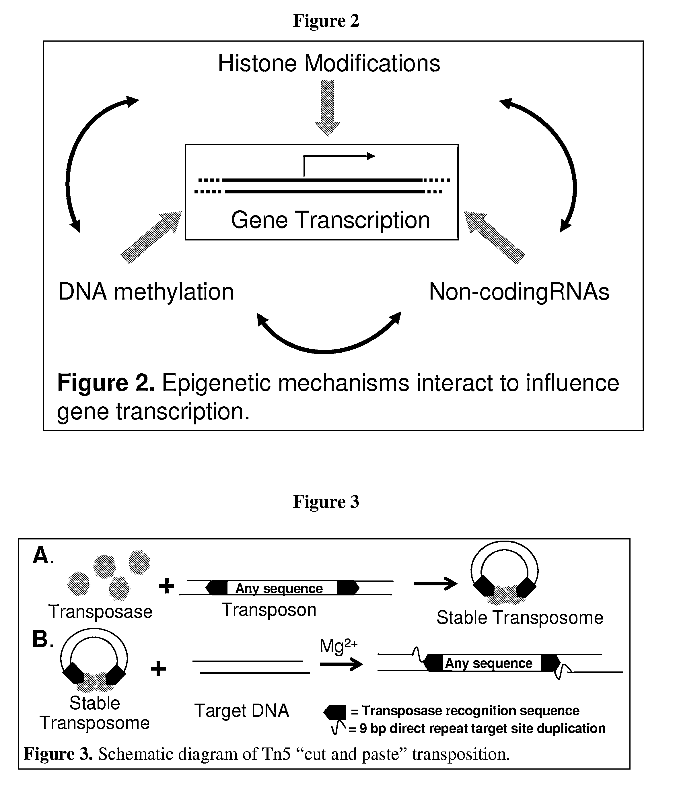 Multiplex isolation of protein-associated nucleic acids