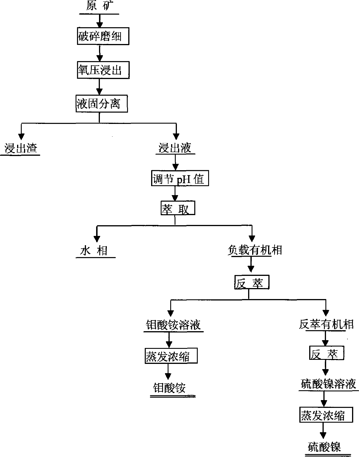 Process for separating molybdenum and nickel form black shale containing molybdenum and nickel