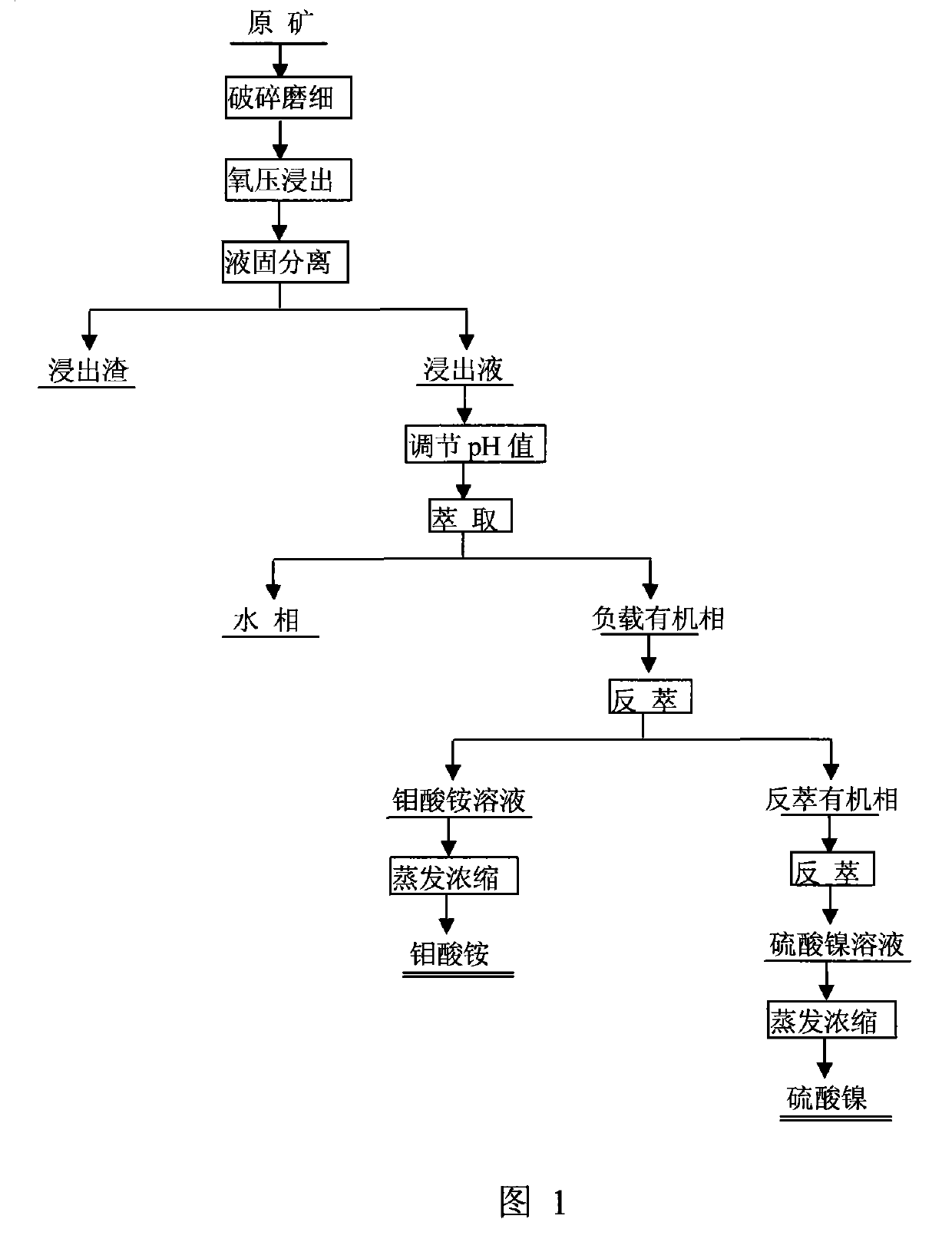 Process for separating molybdenum and nickel form black shale containing molybdenum and nickel