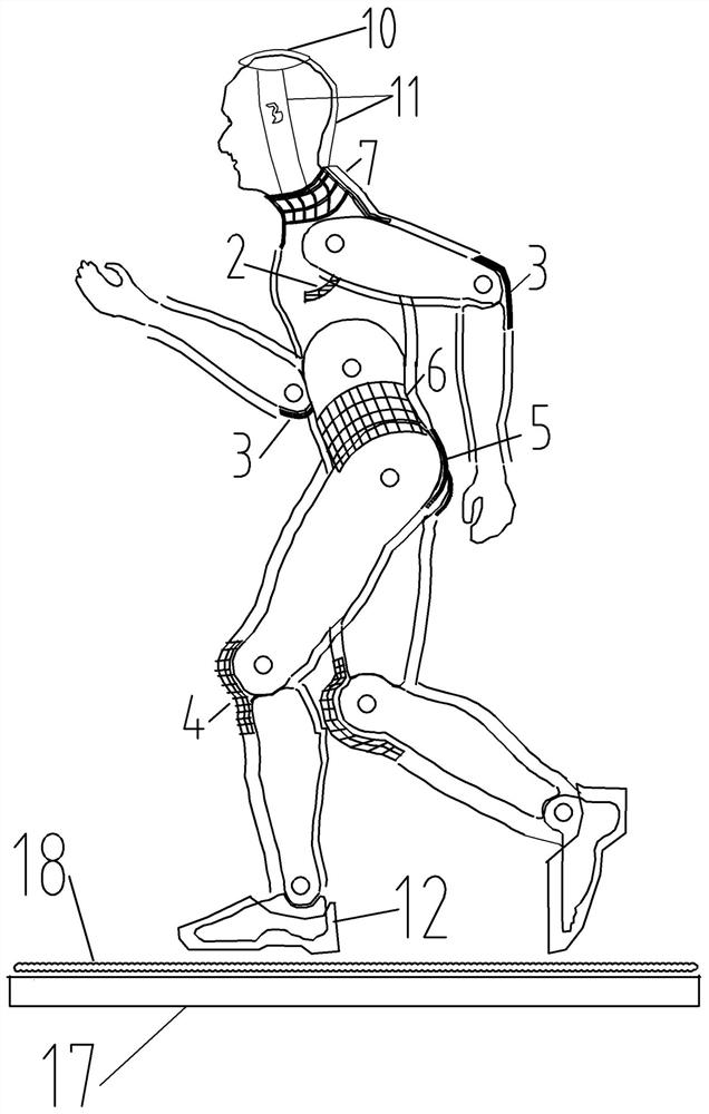 Device for preventing amyotrophy of astronaut during space weightlessness