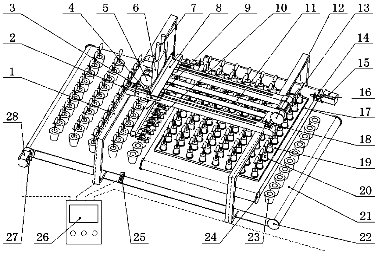 A kind of block seedling automatic transplanting device and method