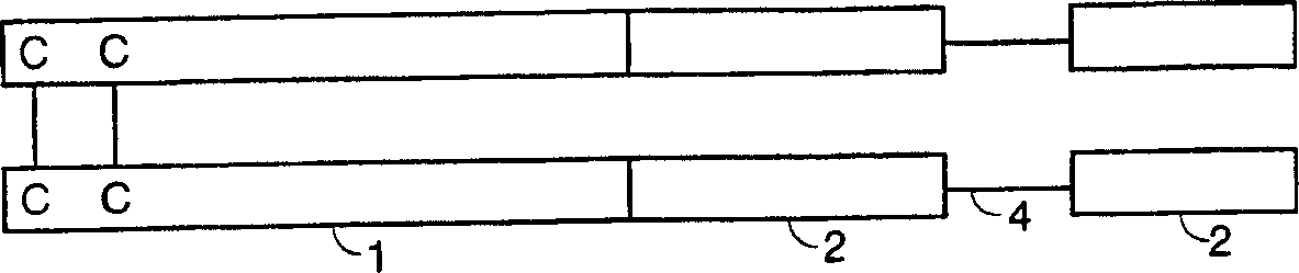 Expression and export of interferon-alpha proteins as Fc fusion proteins