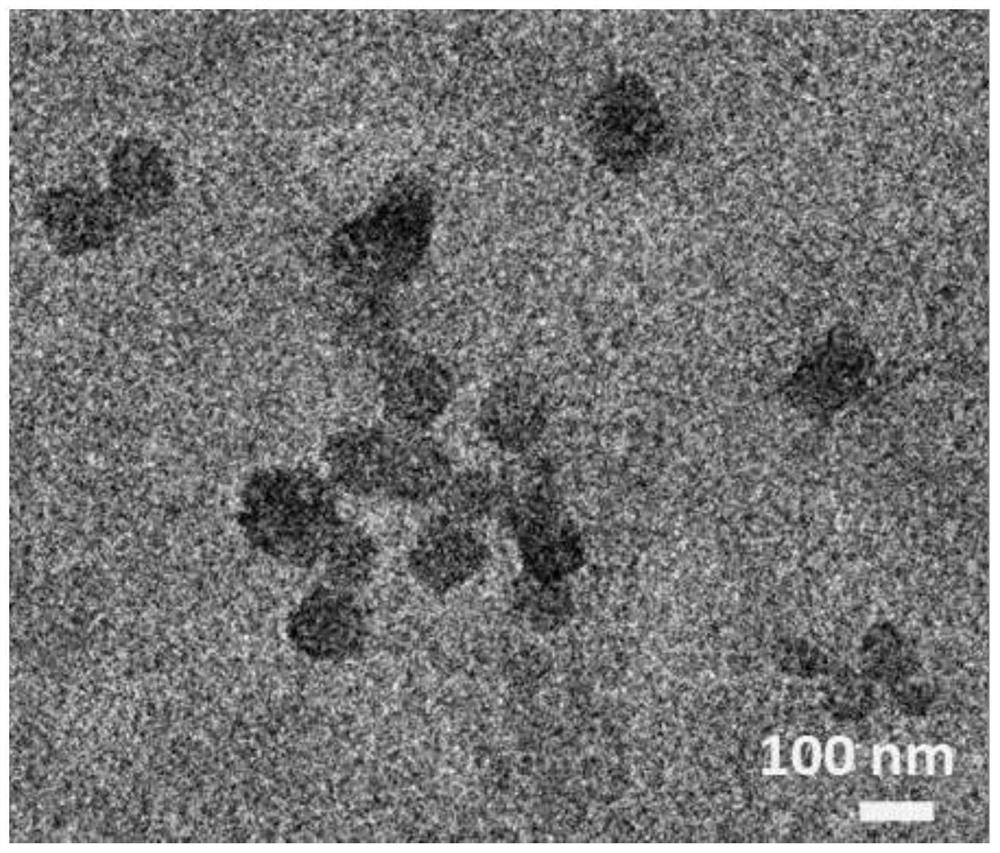 Preparation method of copper porphyrin-folate liposome nanoparticles and application thereof as sound-sensitive agent