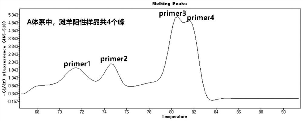 Identification method of Tan sheep-derived components