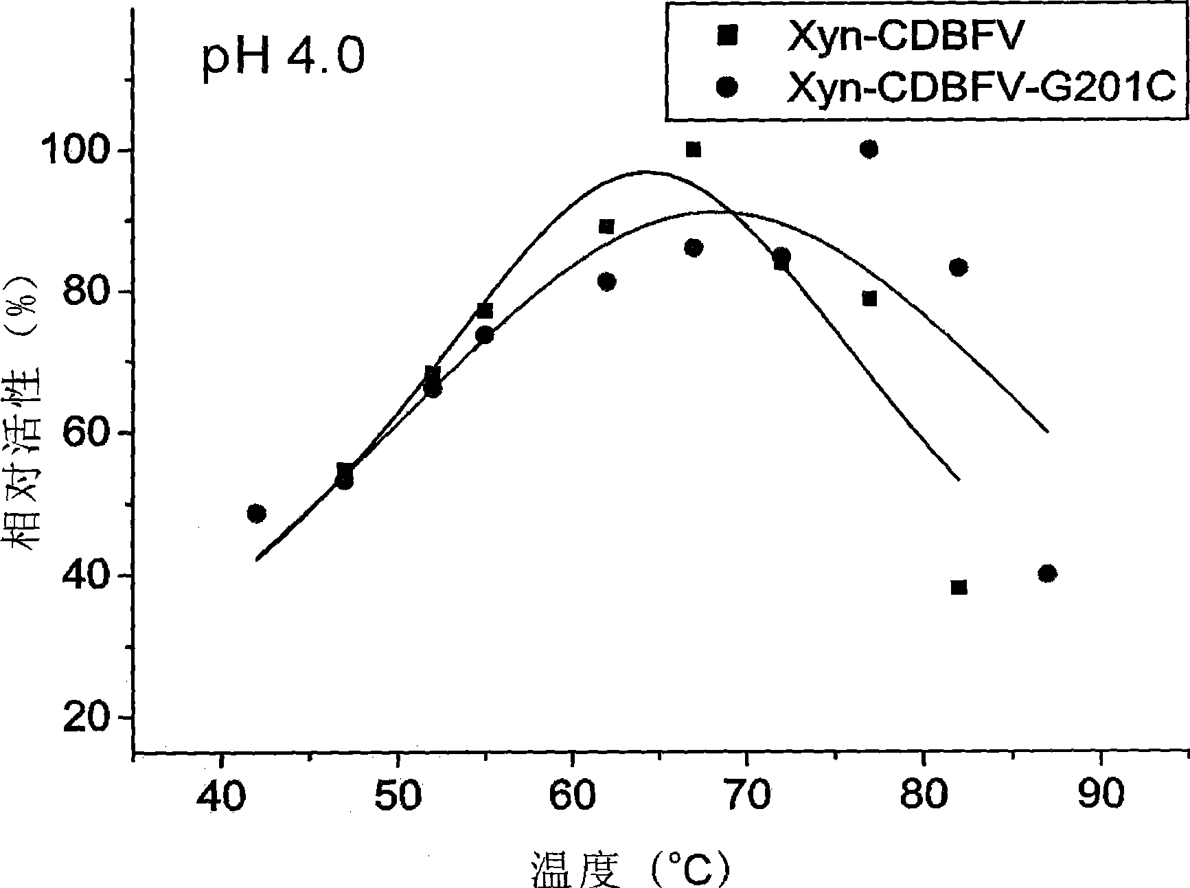 High temperature and strong alkali resistant xylanase improved gene, genetic engineering bacterial strain thereof and preparation method thereof