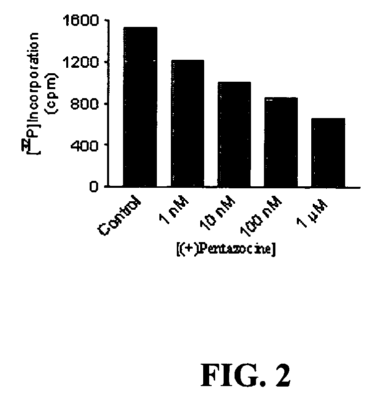 Compositions and methods for reversal of drug resistance