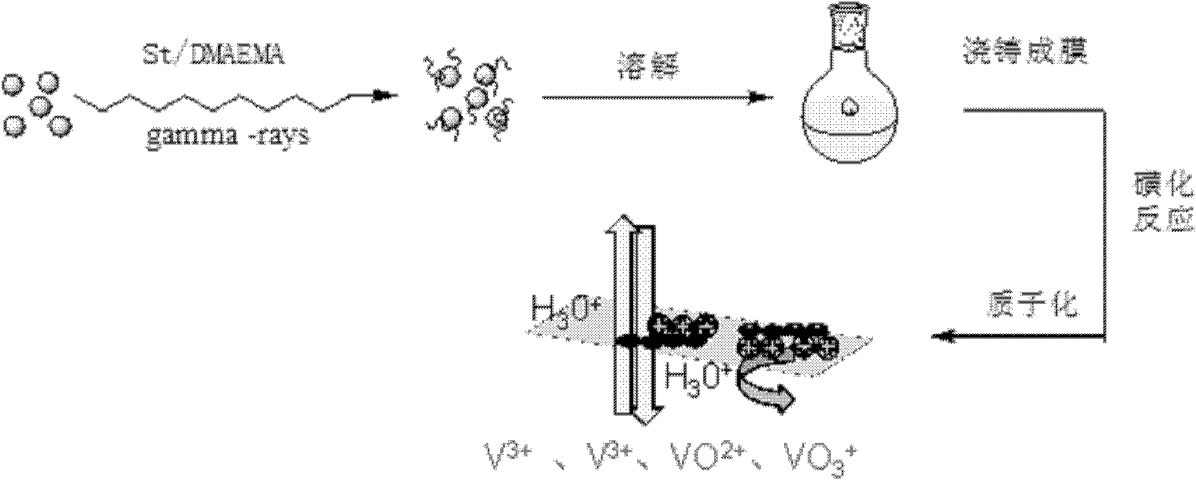 Preparation method of amphoteric ion exchange membrane