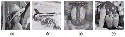 High performance digital watermarking method based on Hessenberg decomposition