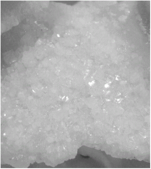 Method for using additive for producing macrocrystalline fused magnesite