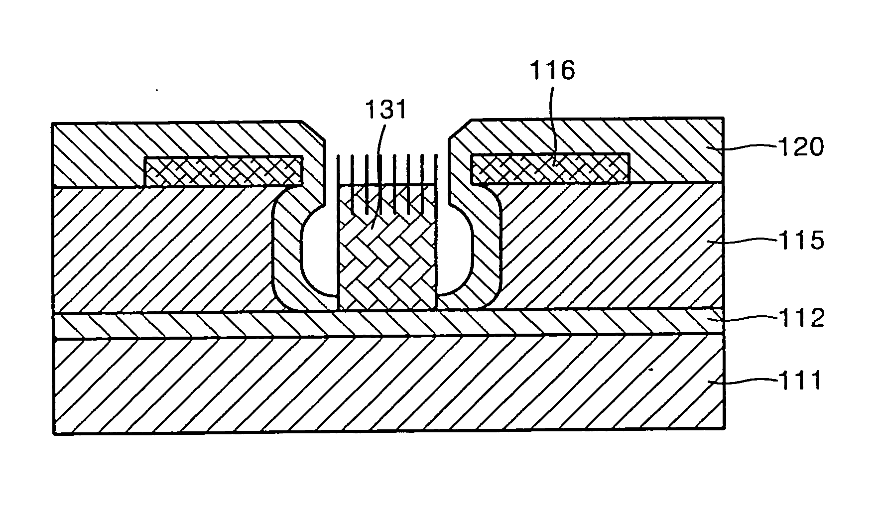 Triode structure field emission display device using carbon nanotubes and method of fabricating the same