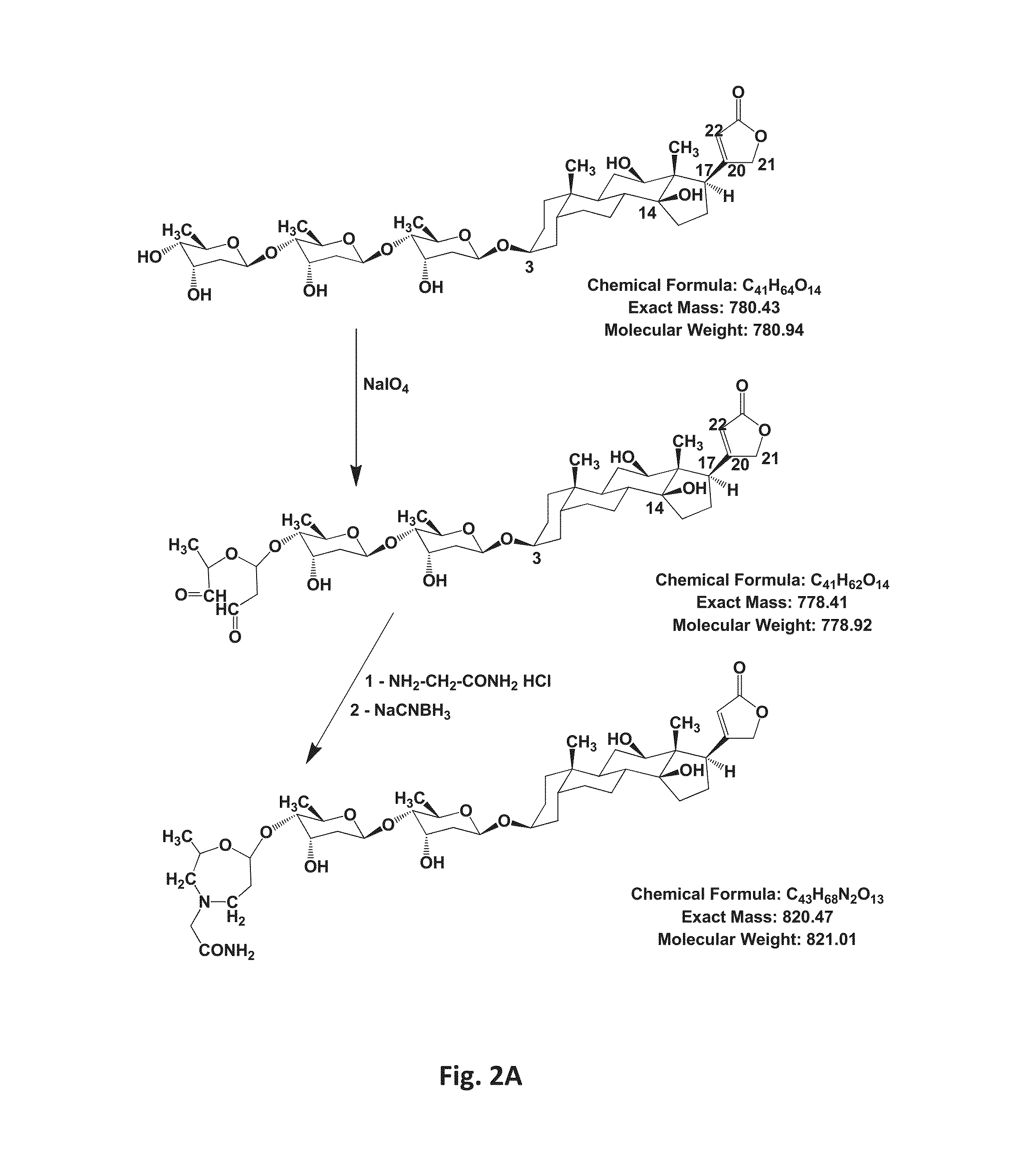 SELECTIVE INHIBITORS OF ALPHA2 ISOFORM OF Na,K-ATPase AND USE FOR REDUCTION OF INTRA-OCULAR PRESSURE