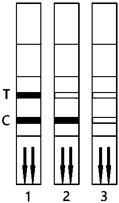 A kind of immunochromatography test paper assembled with chitin or chitosan fiber membrane as colloidal marker pad and preparation method thereof