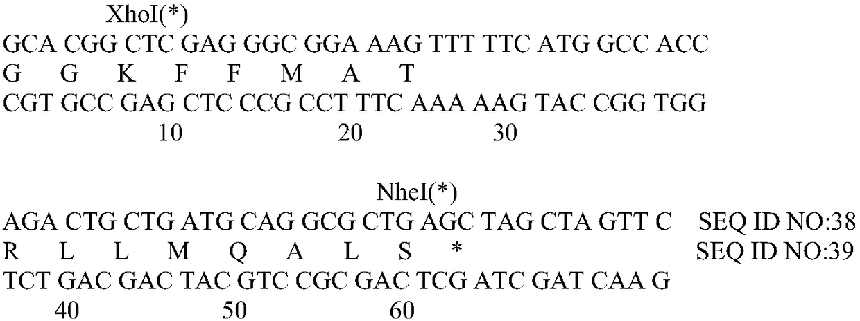 Improved methods and compounds for eliminating immune responses to therapeutic agents