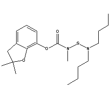 Insecticide composition containing carbosulfan and chlorfenapyr