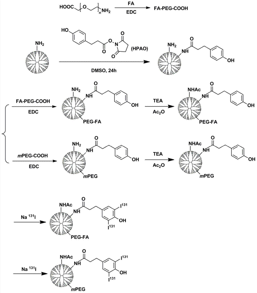 Preparation method of radionuclide 131I-labeled folic acid targeted multifunctional dendrimer