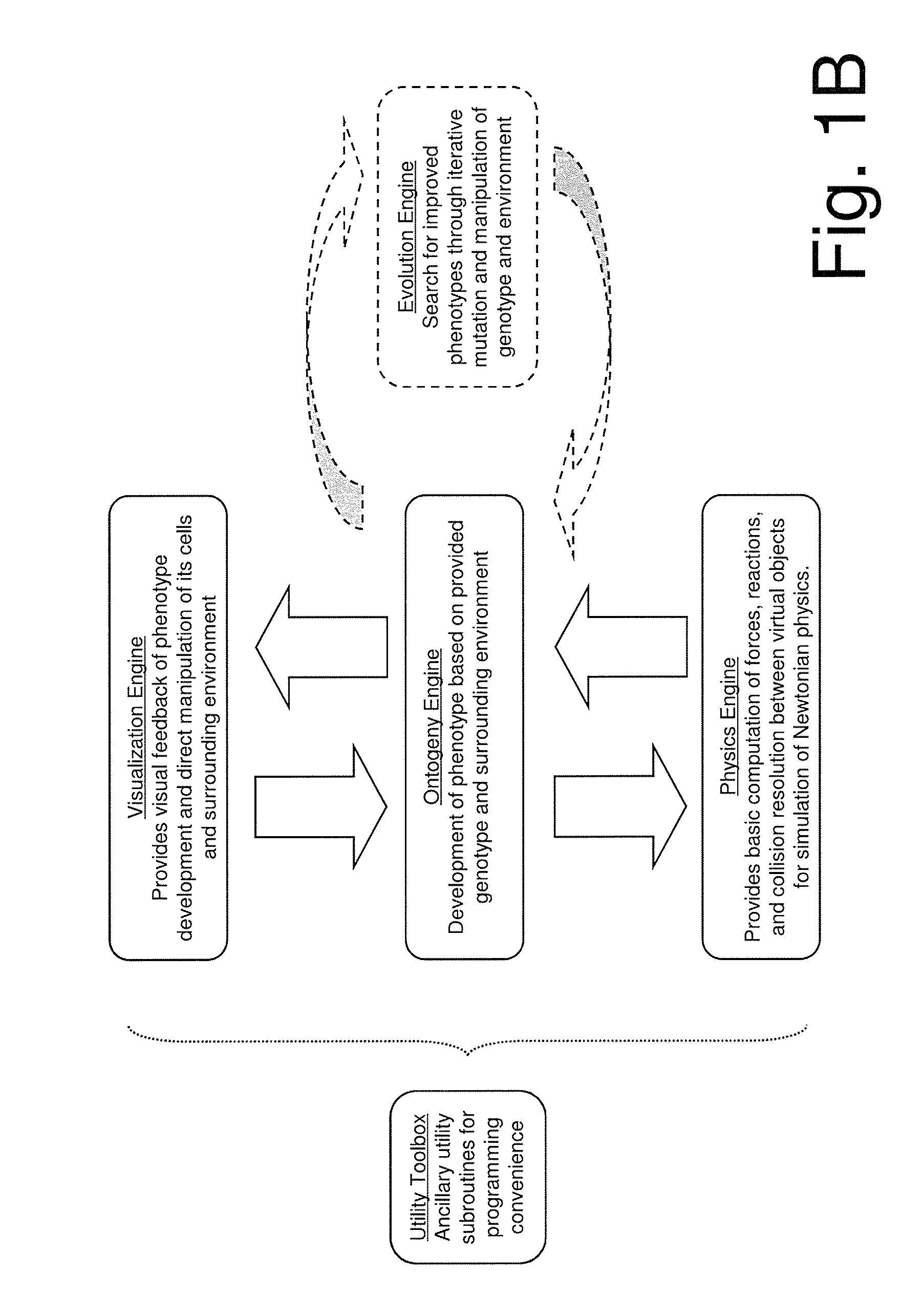 Virtual tissue with emergent behavior and modeling method for producing the tissue