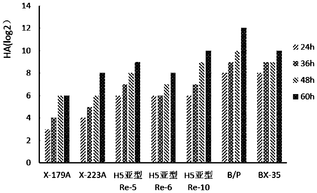 Serum-free suspension culture type MDCK cell strain and application thereof