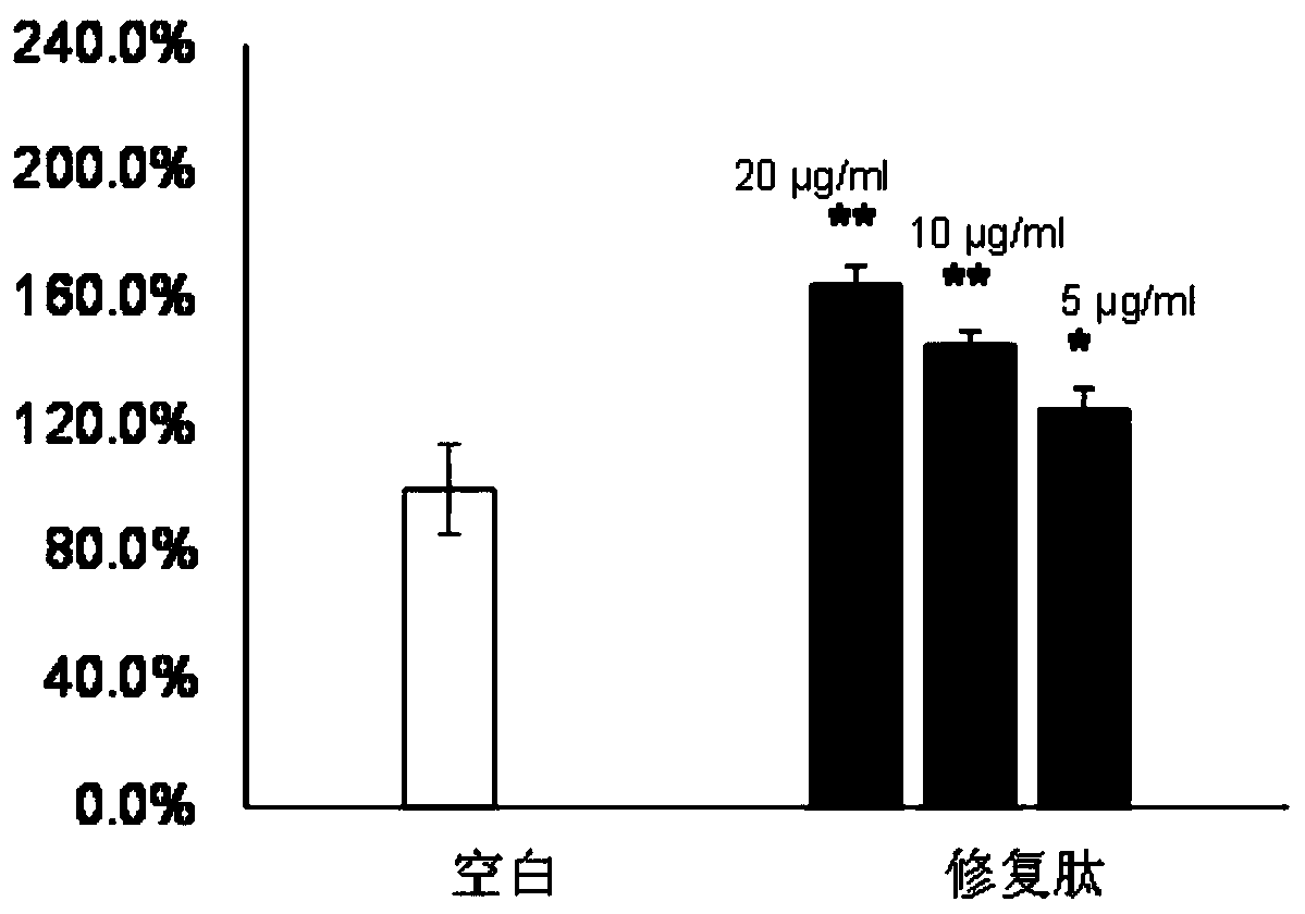 Drosophila melanogaster polypeptide for promoting tissue repair as well as preparation method and application thereof