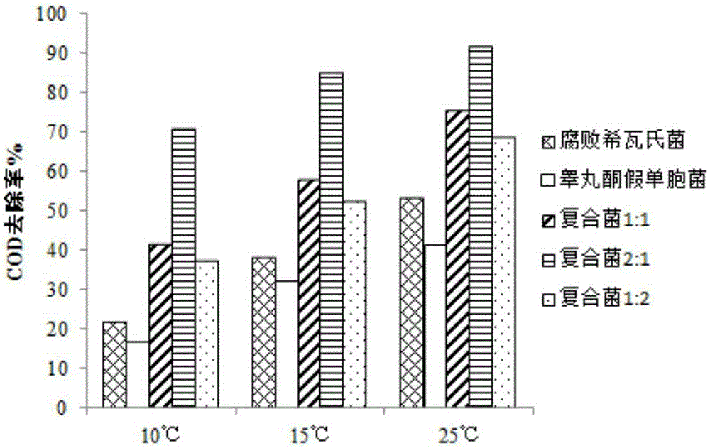 Low-temperature-resistant composite microbial agent used for treating contaminated water, and preparation method and application thereof