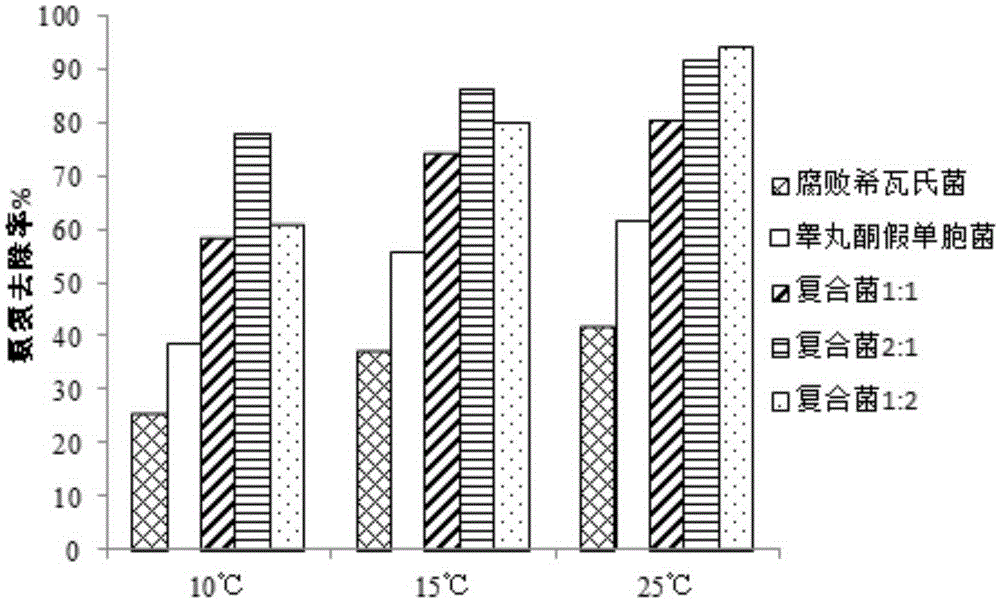 Low-temperature-resistant composite microbial agent used for treating contaminated water, and preparation method and application thereof