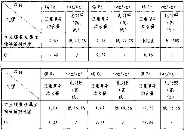 Soil heavy metal biodegradation agent and preparation method thereof