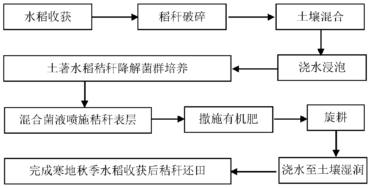 Method for returning autumn rice straw to field in cold regions