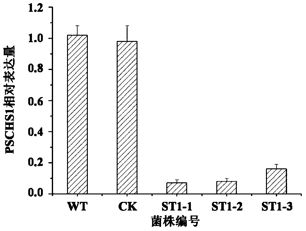 A kind of chitin synthase and its gene and application