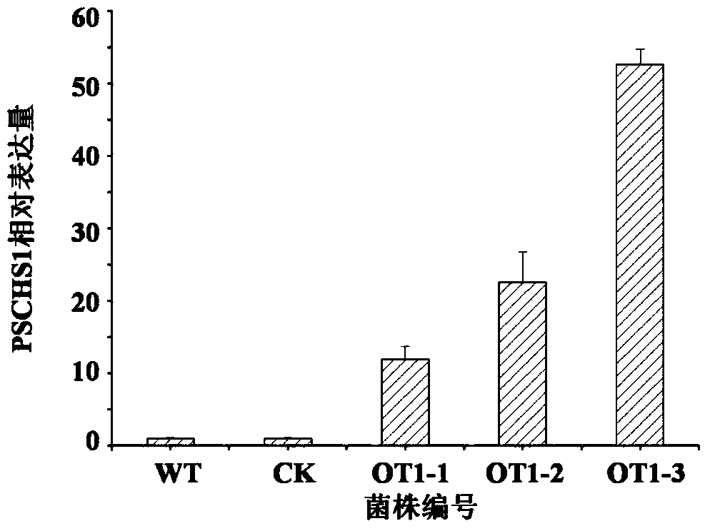 A kind of chitin synthase and its gene and application