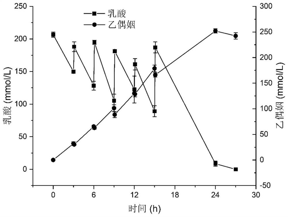 Escherichia coli engineering bacterium for producing acetoin as well as construction method and application of escherichia coli engineering bacterium in whole-cell catalytic production of acetoin