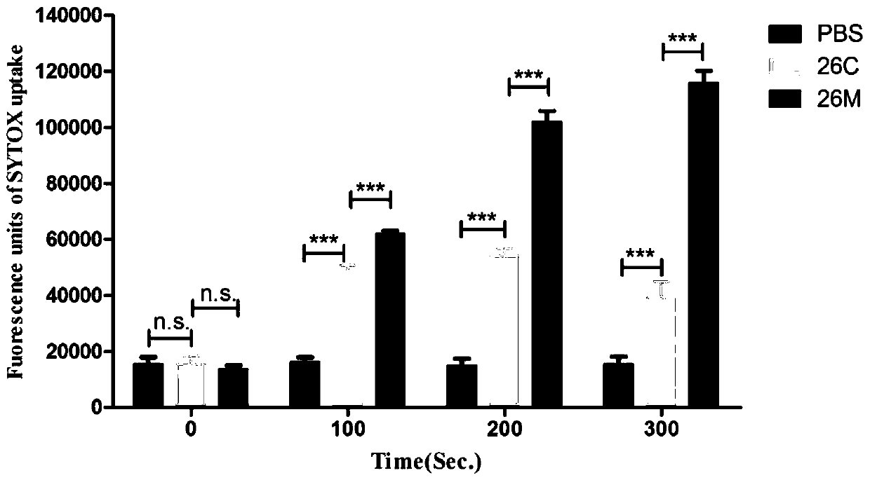 Broad spectrum type antimicrobial peptide (AMP) and application thereof