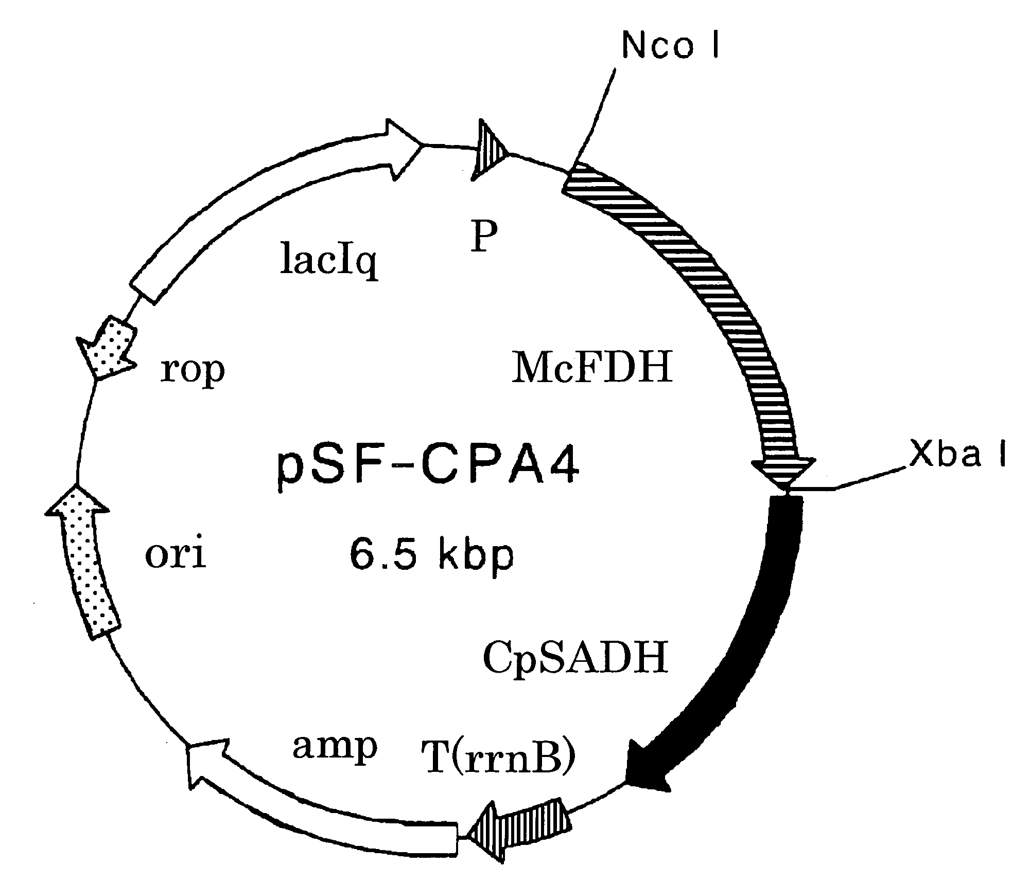 Process for Production of Optically Active Alcohol