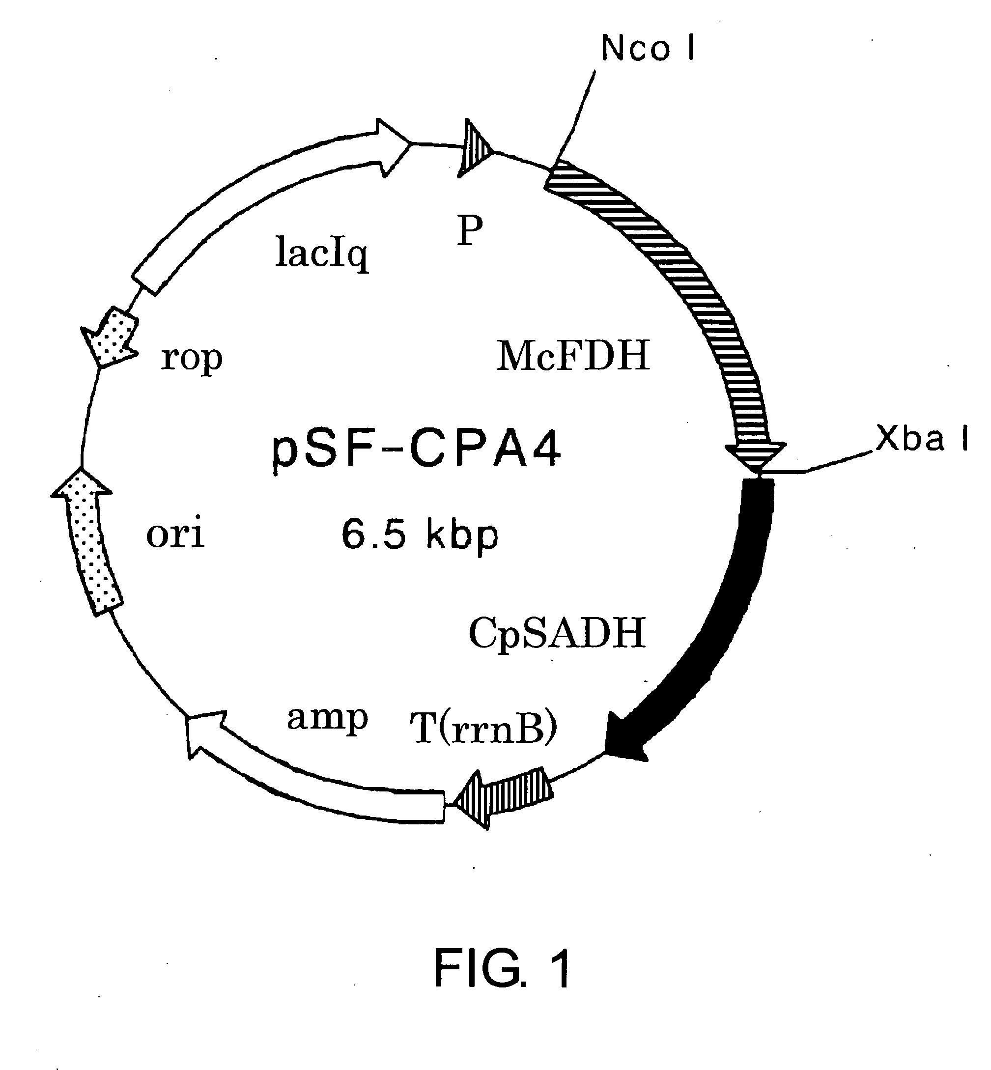 Process for Production of Optically Active Alcohol