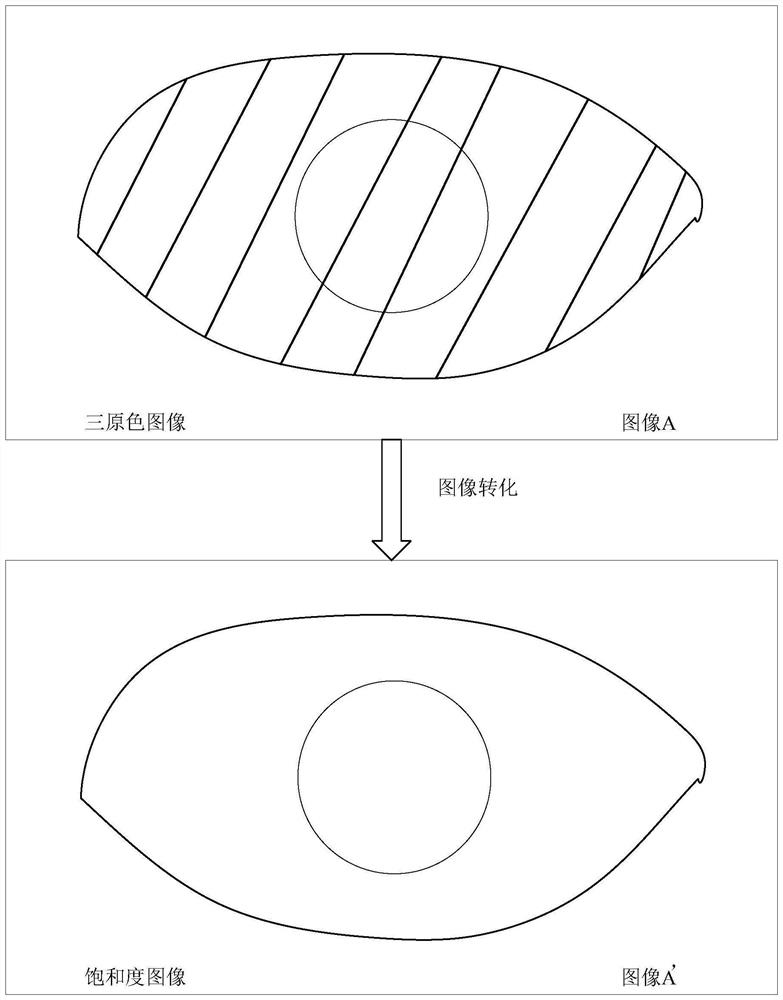 Image area identification method and device, and electronic equipment